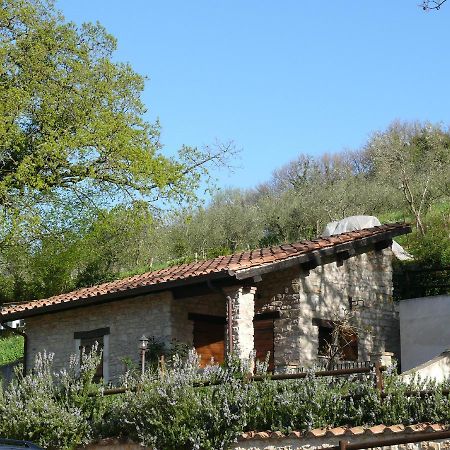 Villa Complesso Agrituristico La Ciriola Piediluco Exterior foto